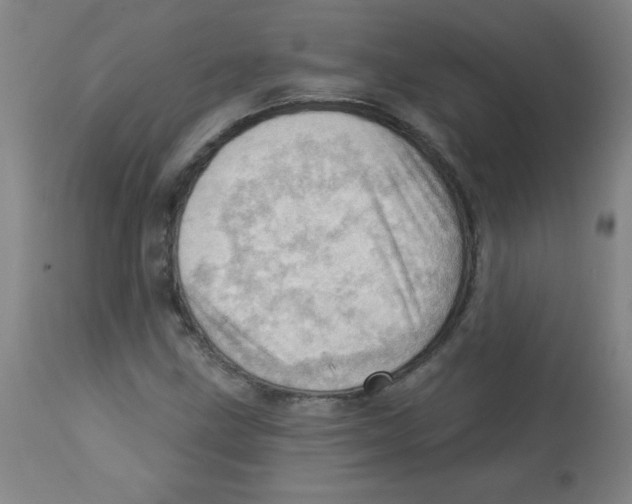 X0000113741211200910211117