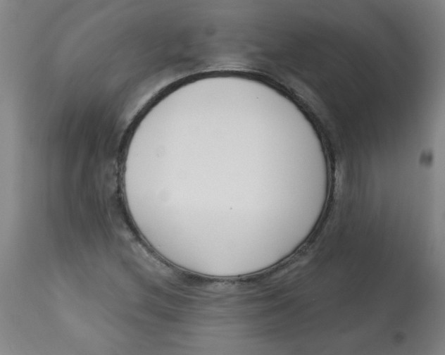 X0000113741212200910211117
