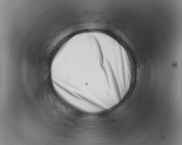 X0000113741213200910211117