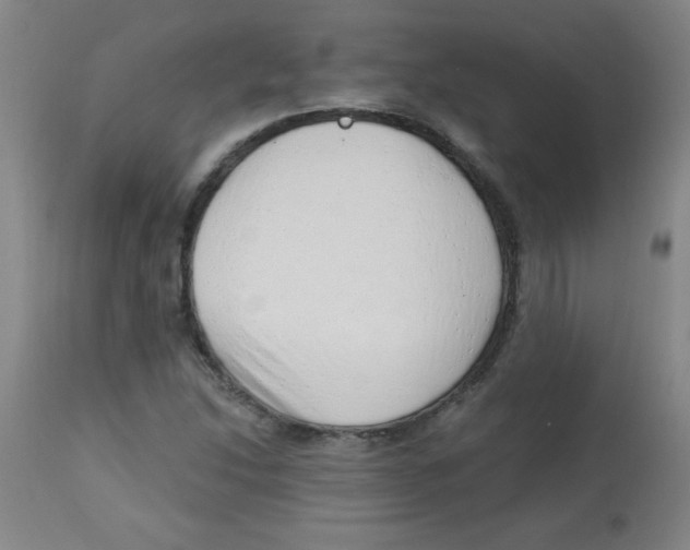 X0000113741214200910211117