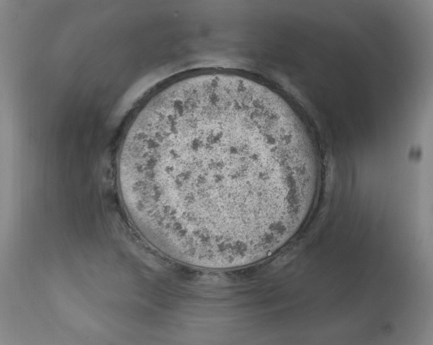 X0000113741215200910211117