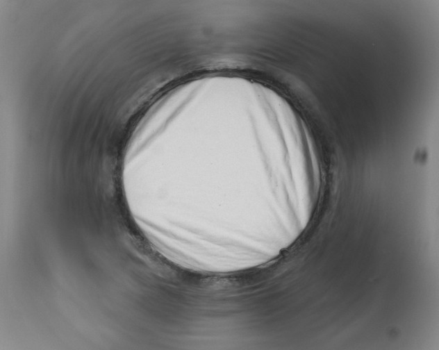X0000113741217200910211117