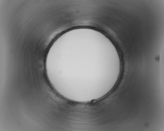 X0000113741218200910211117