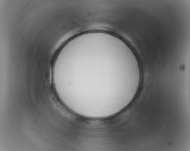 X0000113741219200910211117