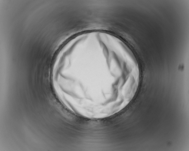 X0000113741220200910211117