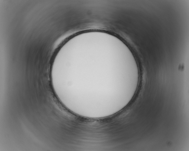 X0000113741222200910211117
