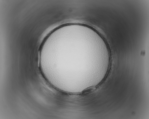 X0000113741223200910211117