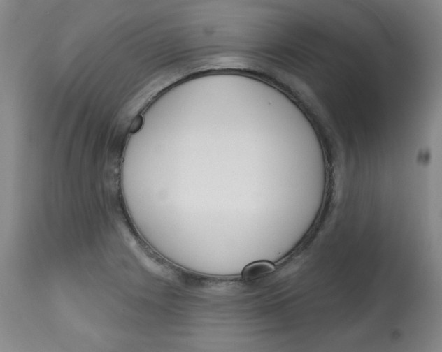 X0000113741225200910211117