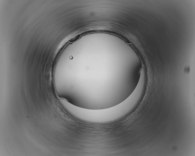 X0000113741226200910211117