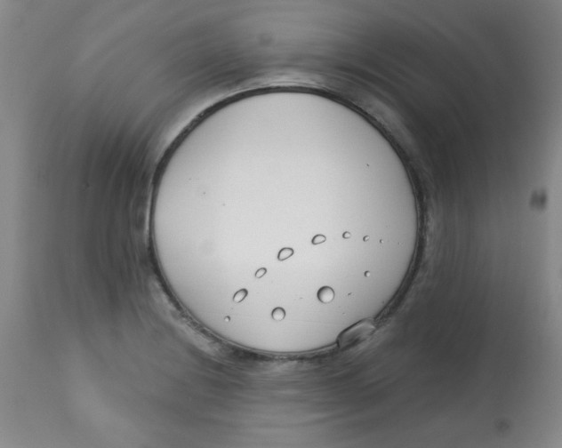 X0000113741228200910211117