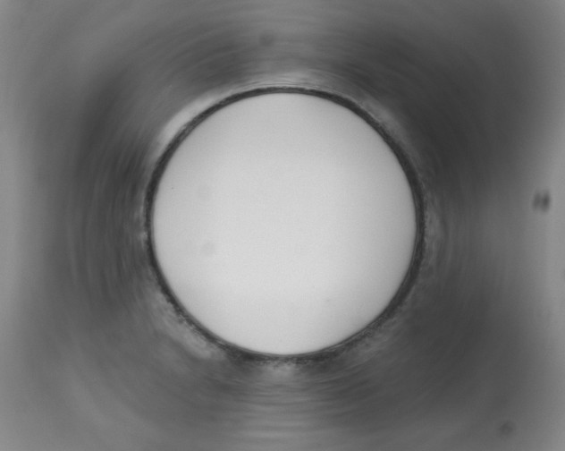 X0000113741230200910211117