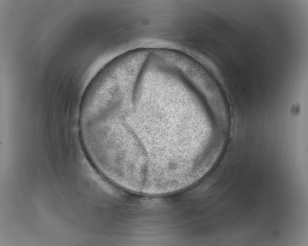 X0000113741231200910211117