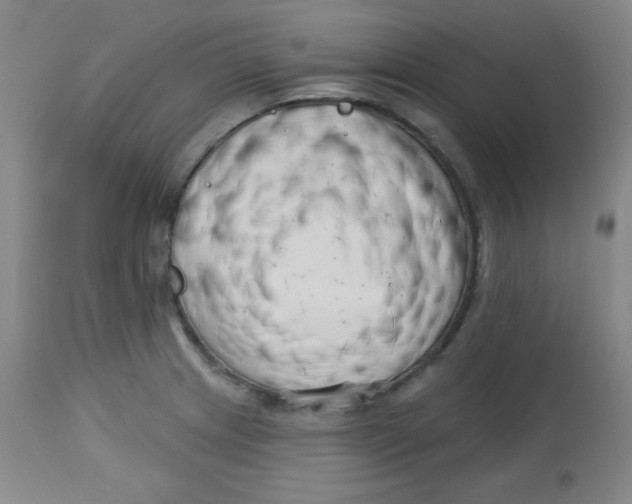 X0000113741233200910211117