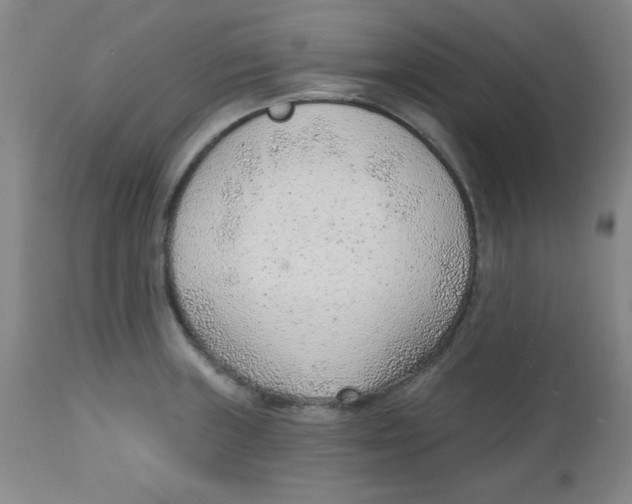 X0000113741235200910211117
