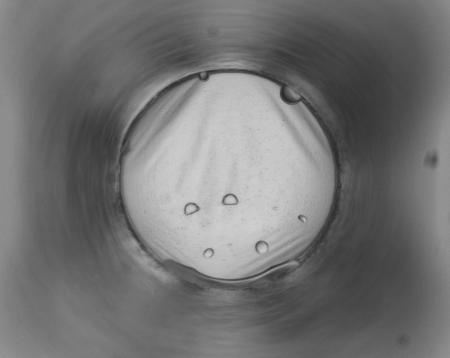 X0000113741236200910211117