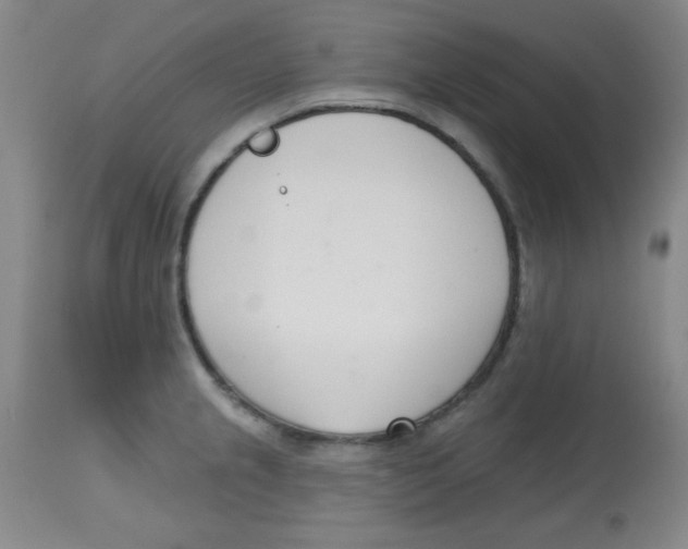 X0000113741237200910211117