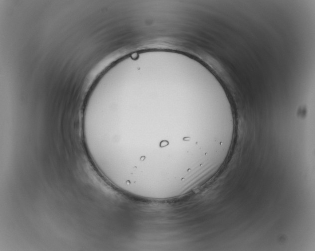 X0000113741238200910211117