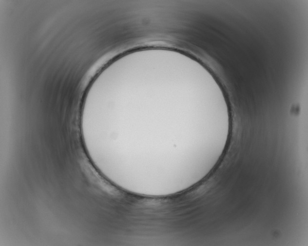 X0000113741240200910211117