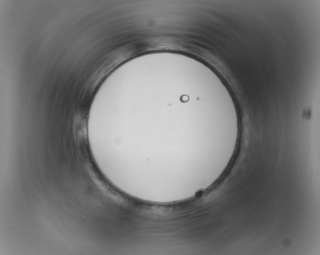X0000113741241200910211117