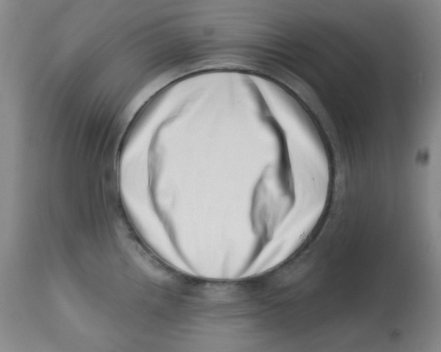 X0000113741242200910211117