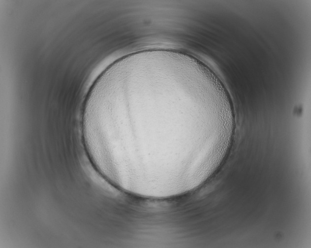 X0000113741243200910211117