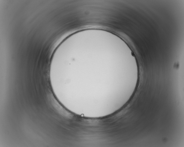 X0000113741244200910211117