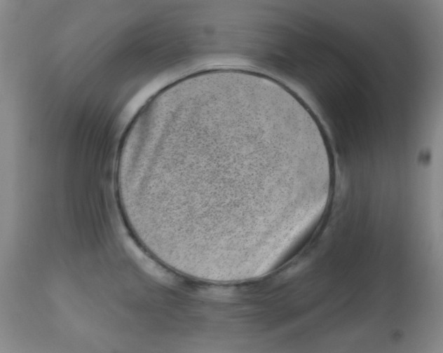 X0000113741245200910211117