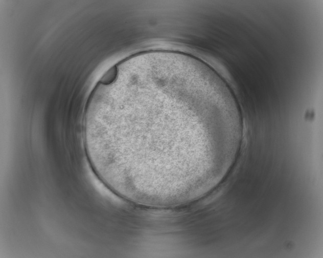 X0000113741247200910211117