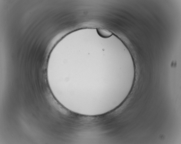 X0000113741248200910211118