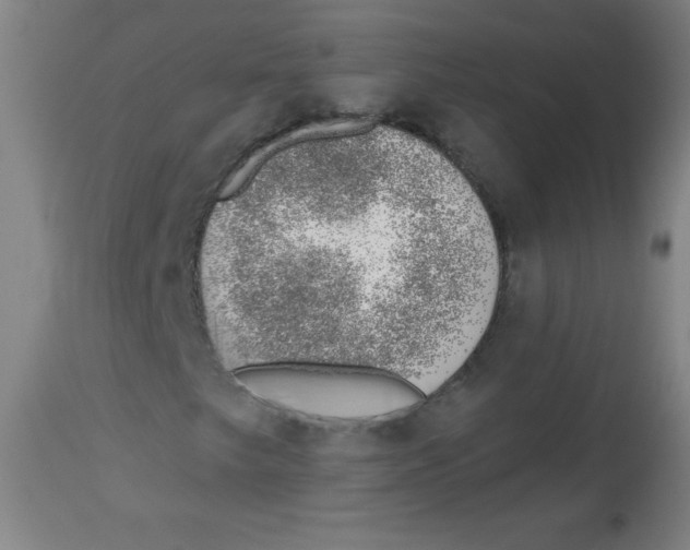 X0000113741249200910211117