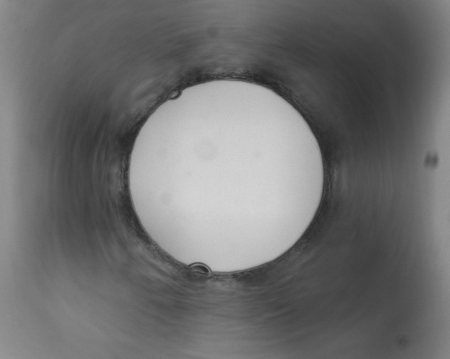 X0000113741250200910211117