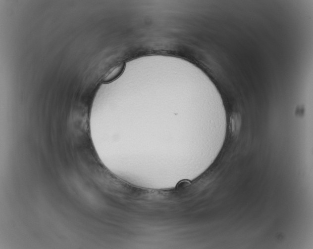 X0000113741251200910211117