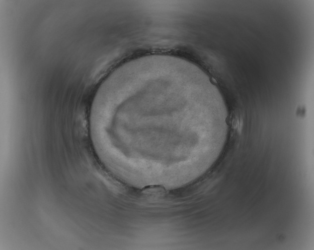 X0000113741252200910211117