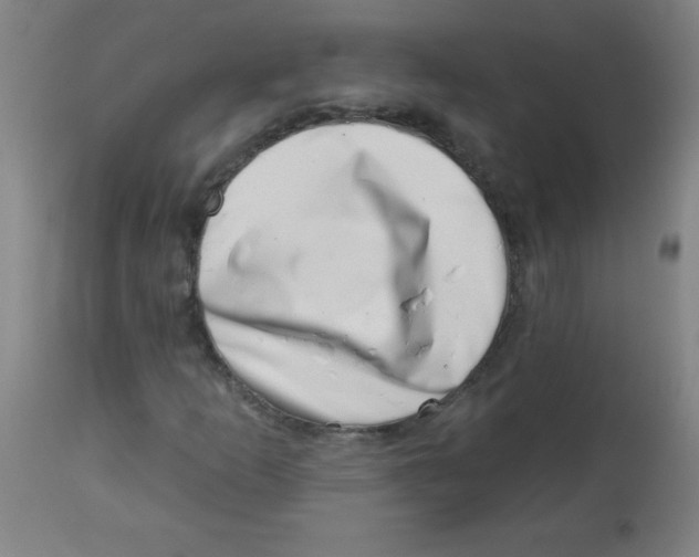X0000113741253200910211117
