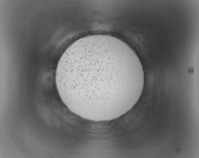 X0000113741254200910211117