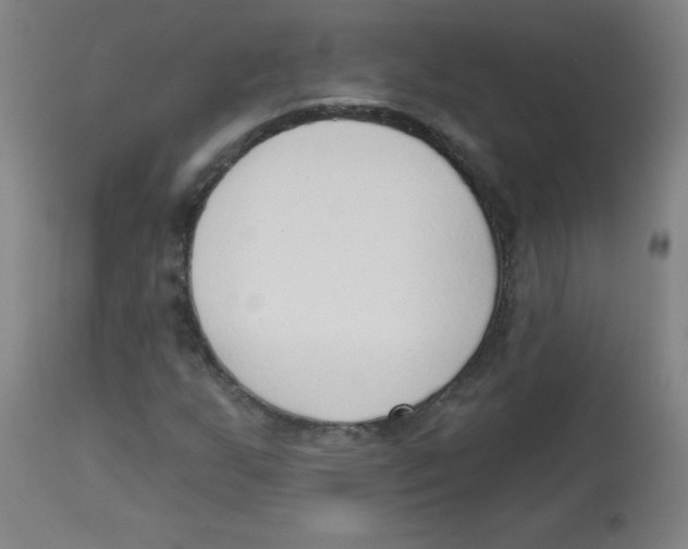 X0000113741255200910211117