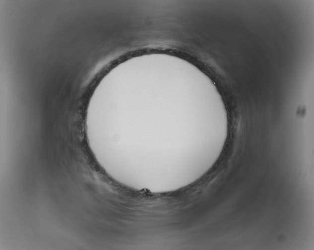 X0000113741256200910211117