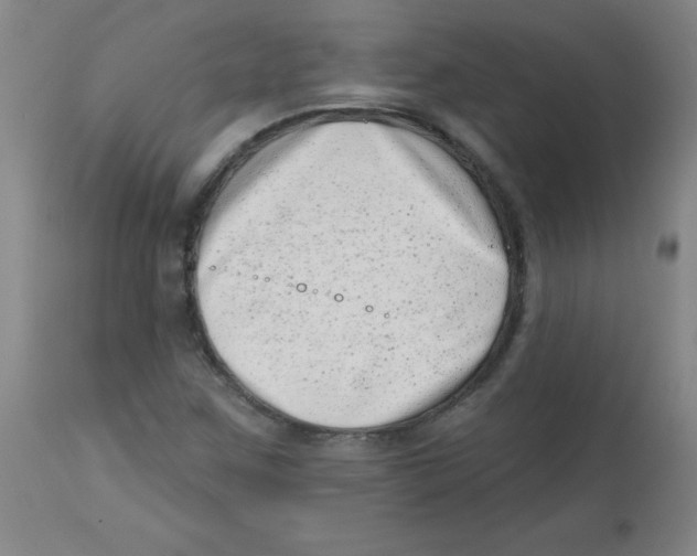 X0000113741259200910211117
