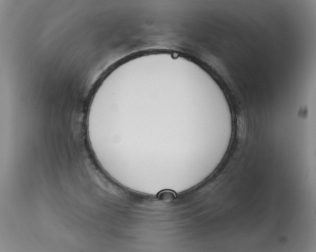 X0000113741260200910211117