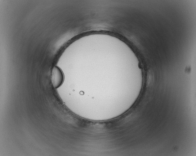 X0000113741261200910211117