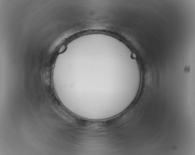 X0000113741262200910211117