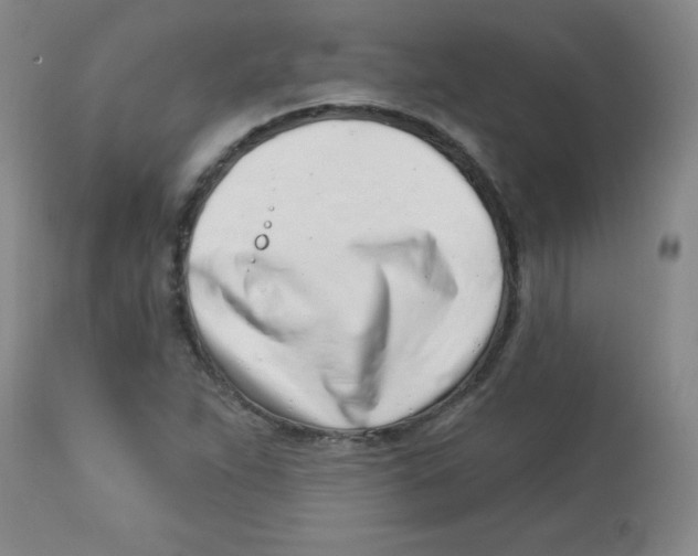 X0000113741263200910211117