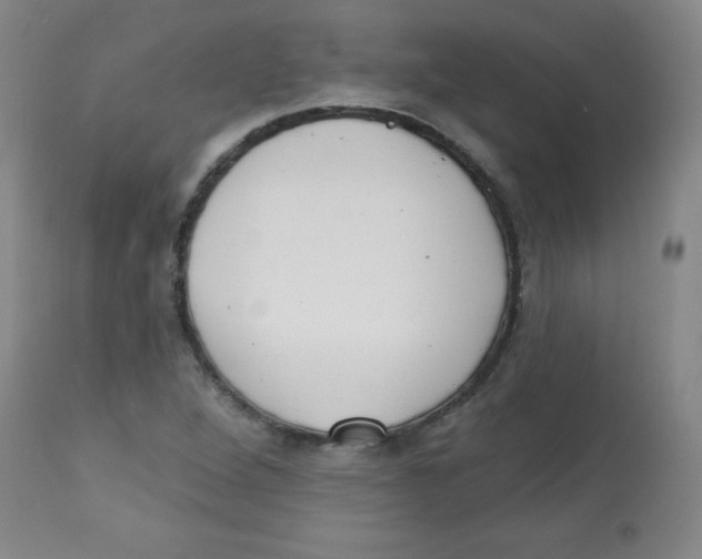 X0000113741264200910211117