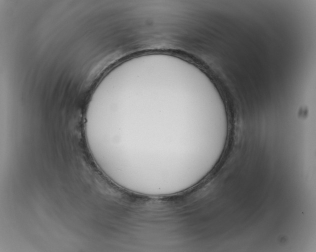 X0000113741265200910211117