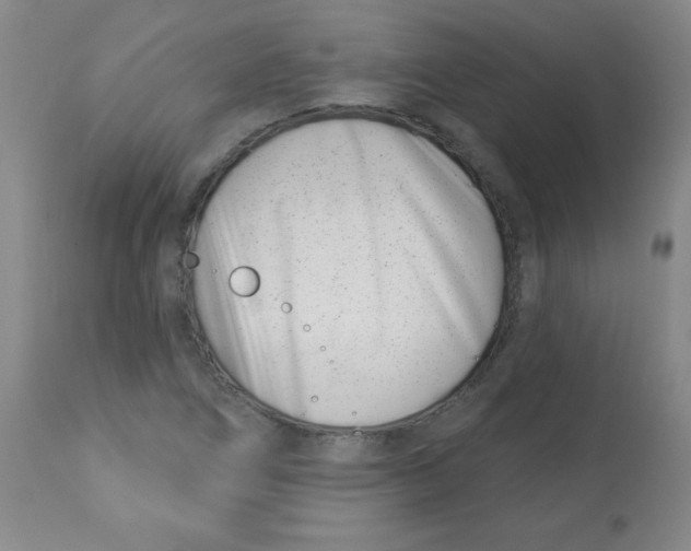 X0000113741266200910211117