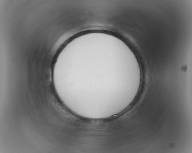 X0000113741267200910211117