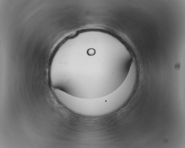X0000113741268200910211117