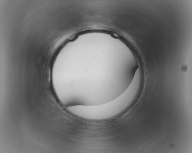 X0000113741269200910211117