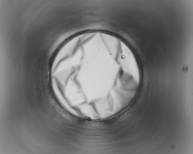 X0000113741270200910211117