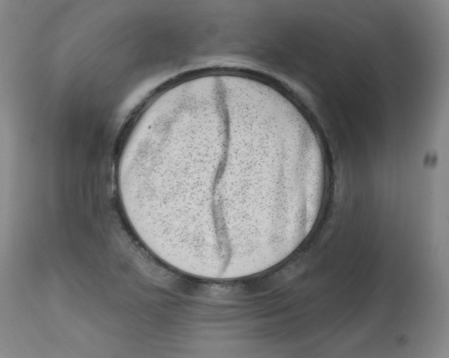 X0000113741271200910211117